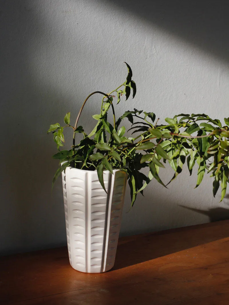 Fern Vase