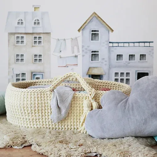 Moses Basket