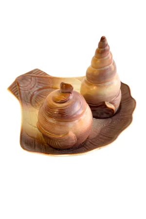 Vintage Carlton Ware seashell salt   pepper set (missing one)